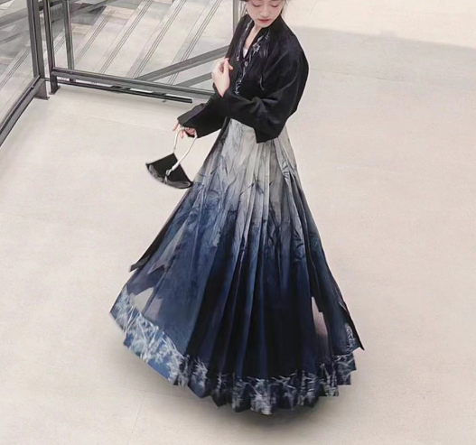 Elegant Printed Floral Sheer Pleated Skirt